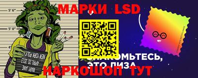 гидропоника Камышлов
