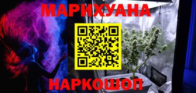 гидропоника Камышлов