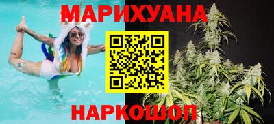 гидропоника Камышлов