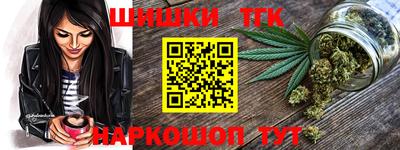 гидропоника Камышлов