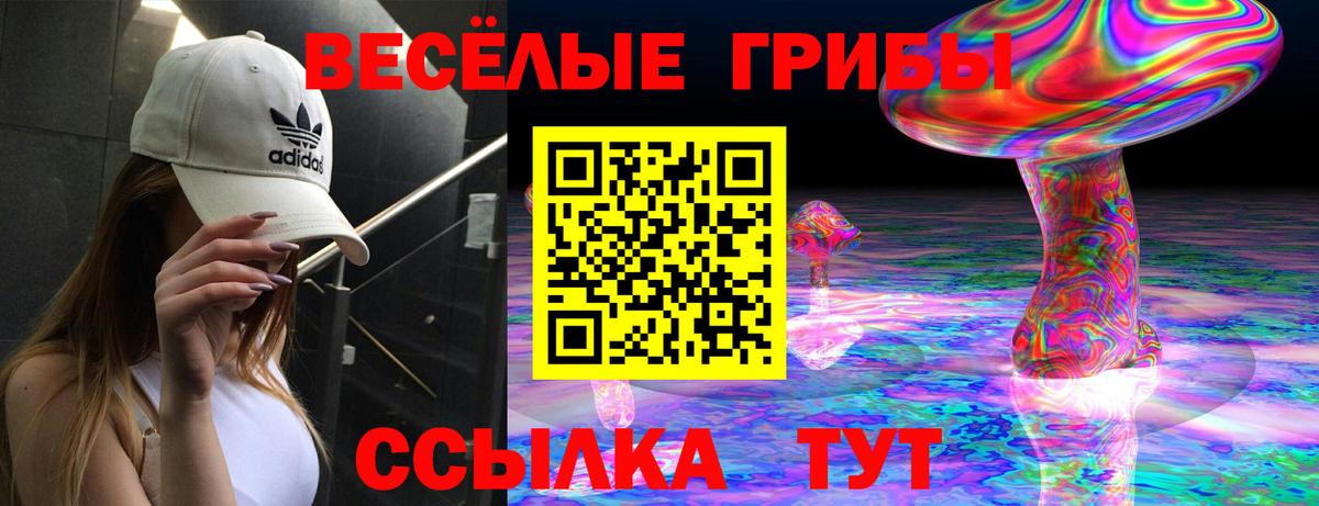 Псилоцибиновые грибы MAGIC MUSHROOMS  Вход с VPN  Краснодар 